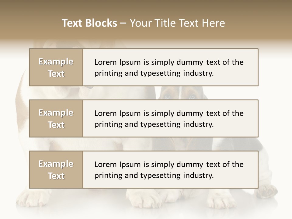 Family Studio Blue PowerPoint Template