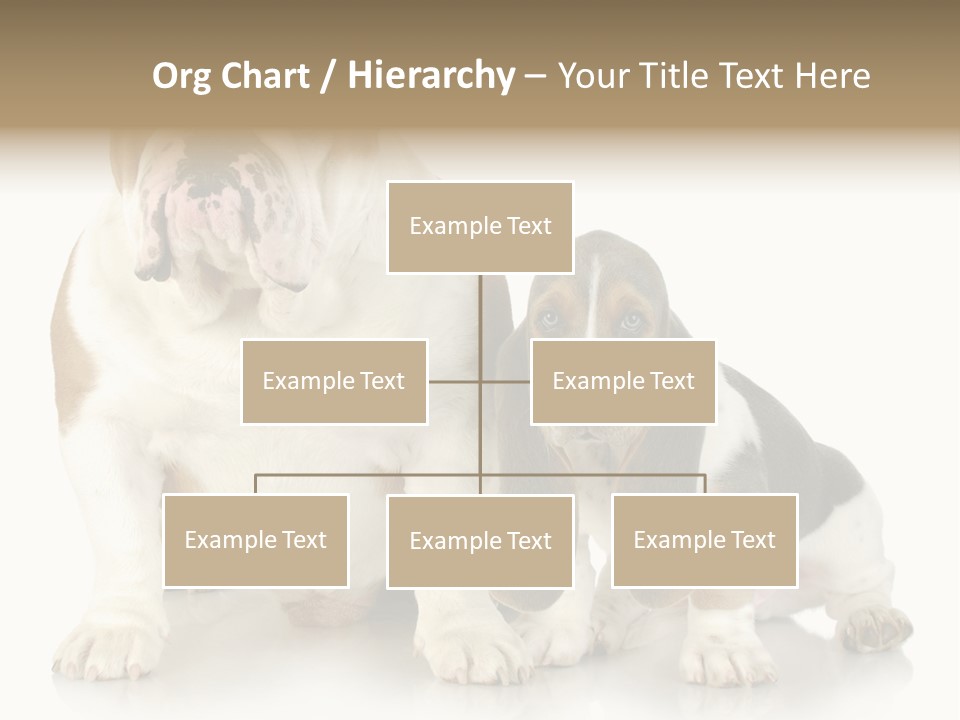 Family Studio Blue PowerPoint Template