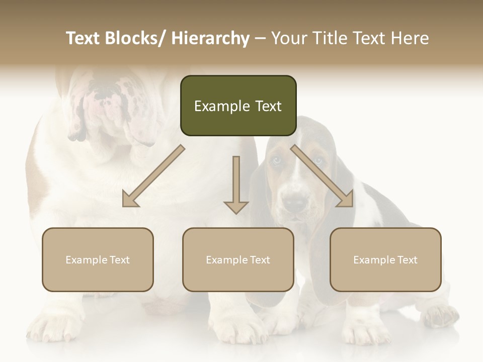 Family Studio Blue PowerPoint Template