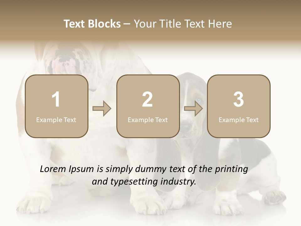 Family Studio Blue PowerPoint Template