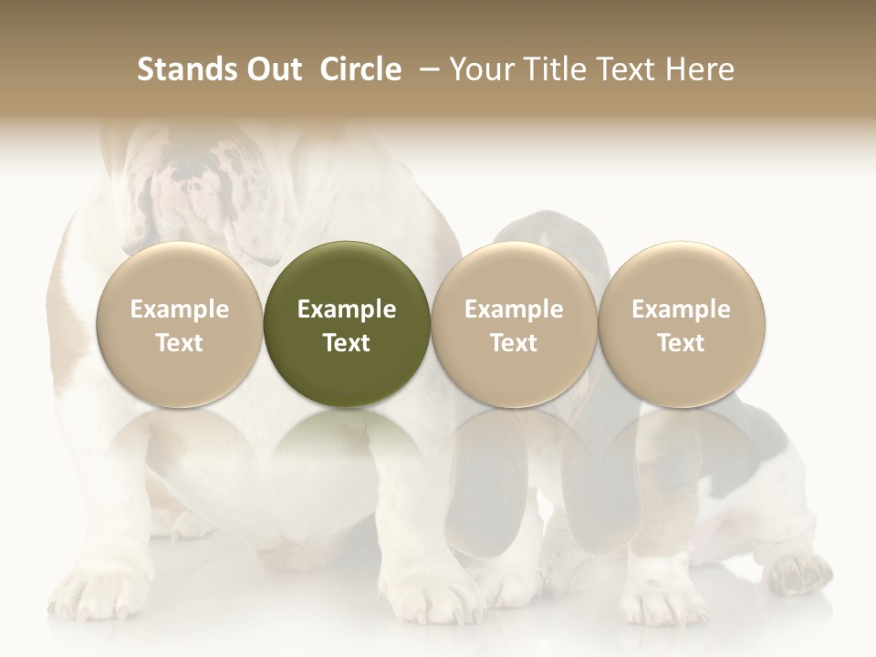 Family Studio Blue PowerPoint Template