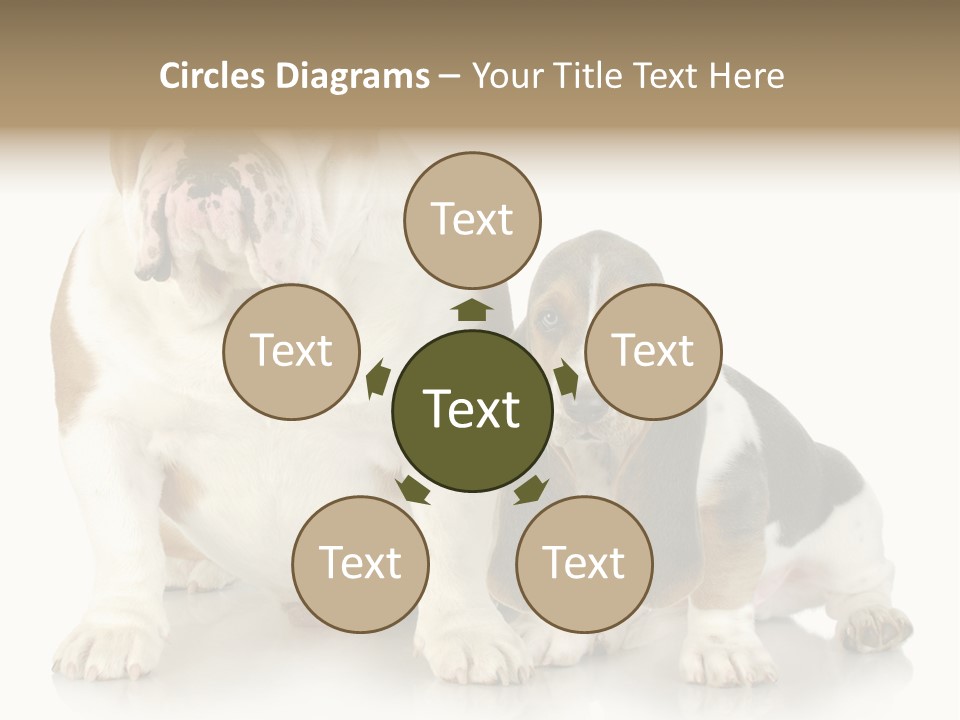 Family Studio Blue PowerPoint Template