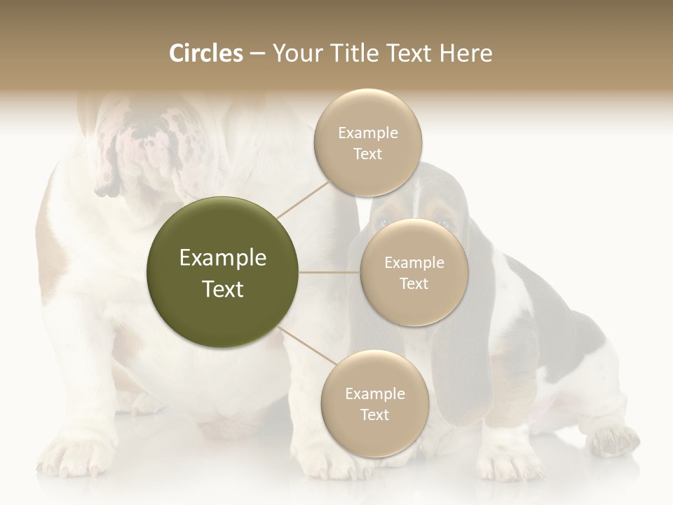 Family Studio Blue PowerPoint Template