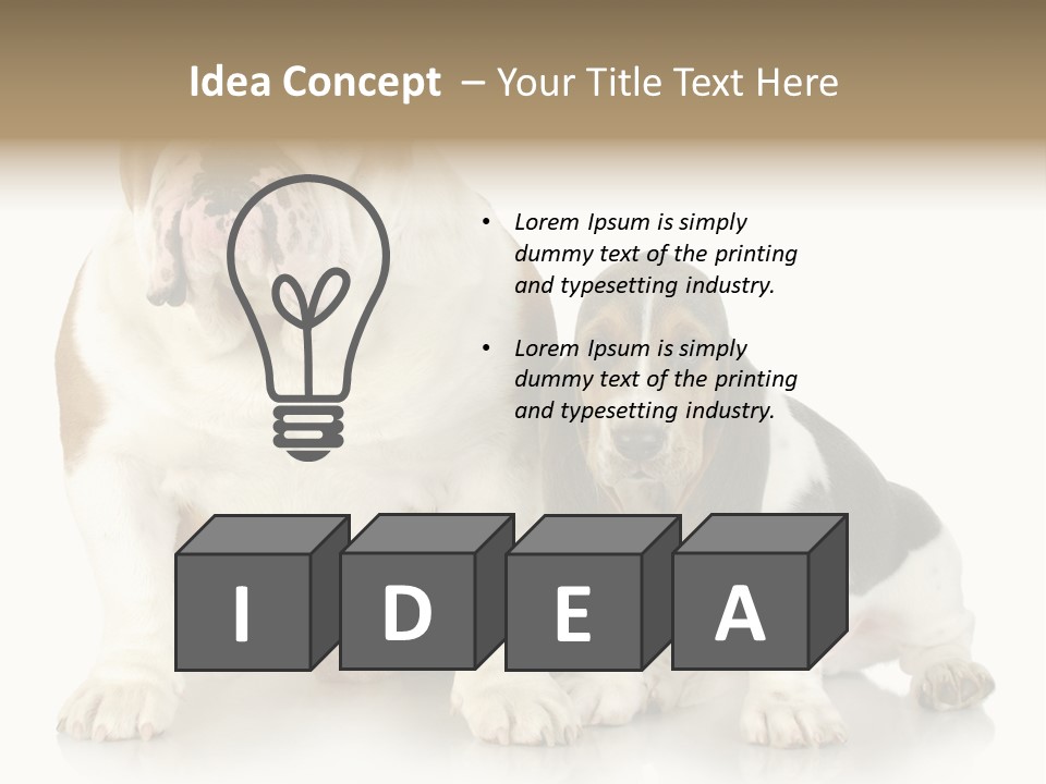 Family Studio Blue PowerPoint Template