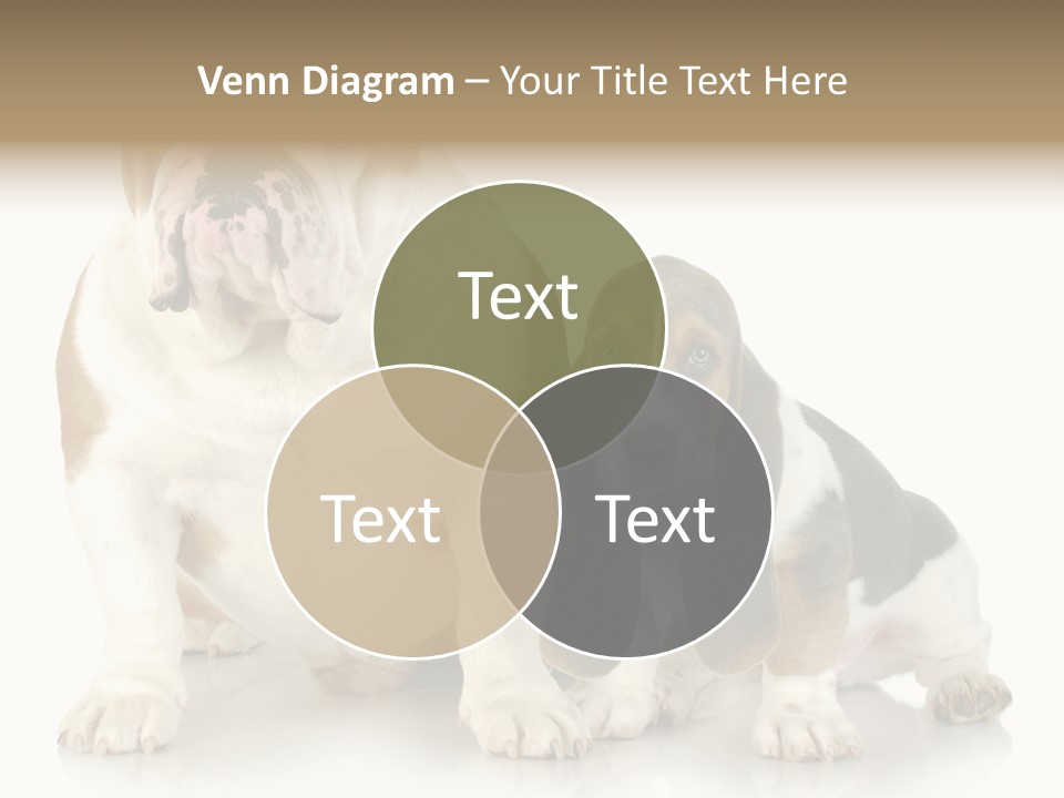 Family Studio Blue PowerPoint Template