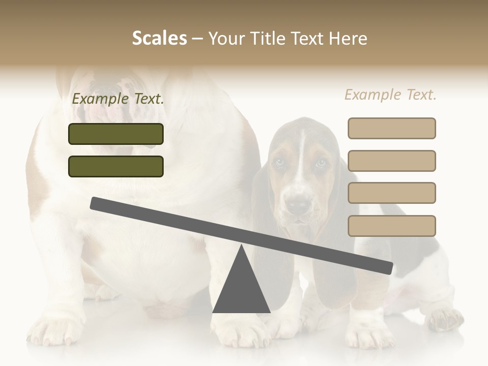 Family Studio Blue PowerPoint Template