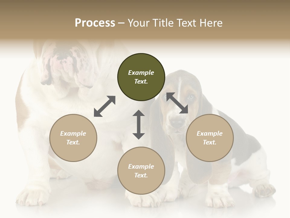 Family Studio Blue PowerPoint Template