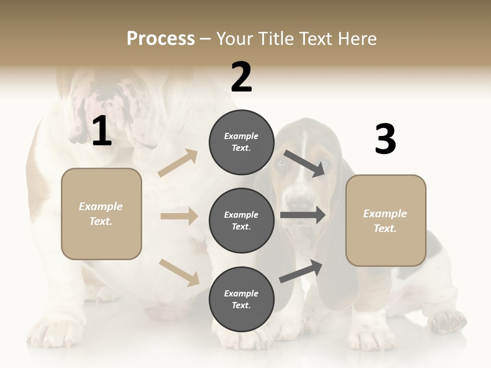 Family Studio Blue PowerPoint Template