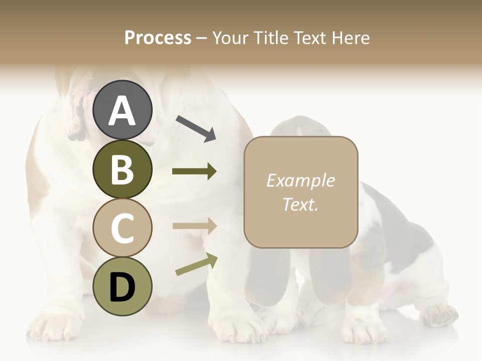 Family Studio Blue PowerPoint Template