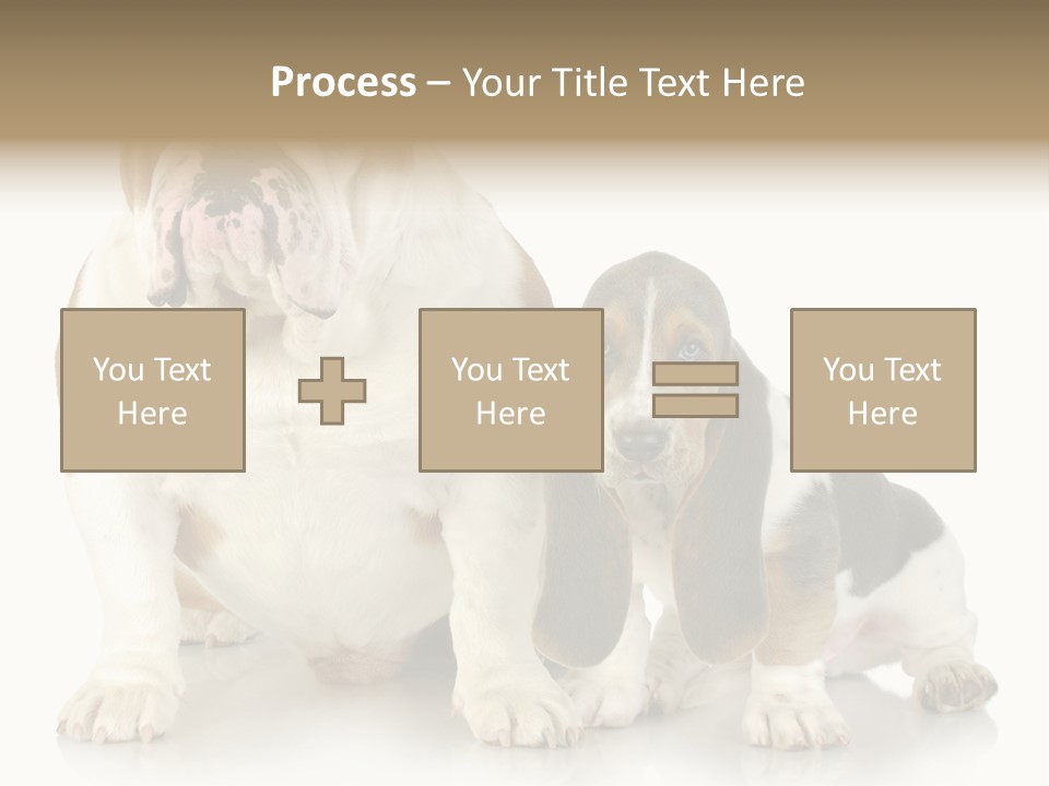 Family Studio Blue PowerPoint Template