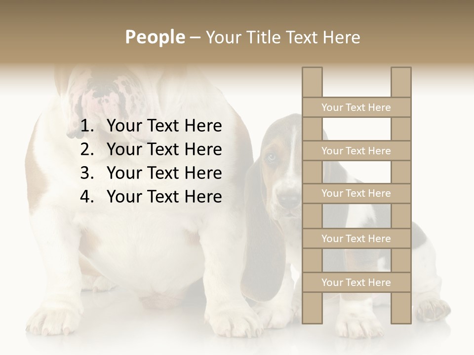 Family Studio Blue PowerPoint Template