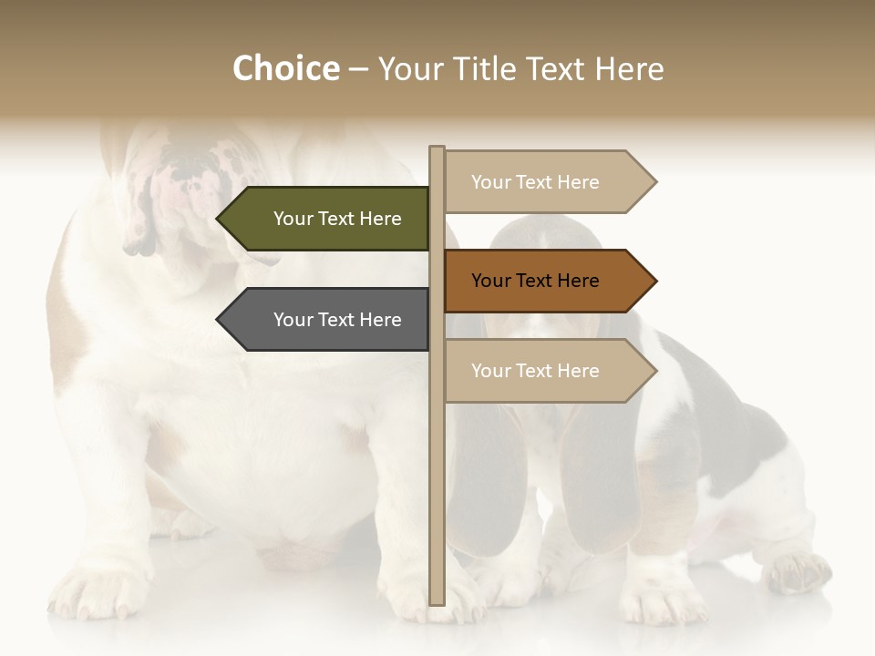 Family Studio Blue PowerPoint Template