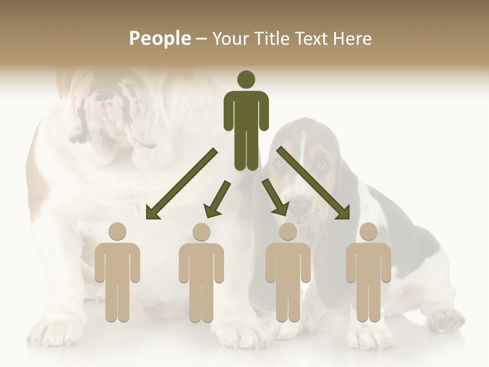 Family Studio Blue PowerPoint Template