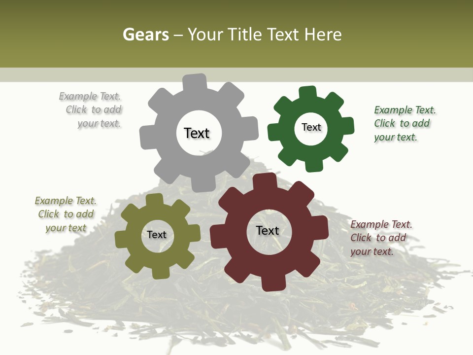 Asian Herbal Medicine Dried Plant PowerPoint Template