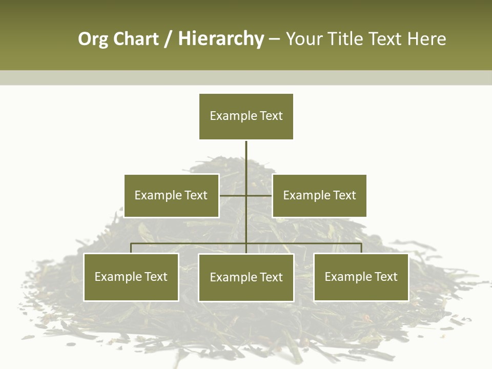Asian Herbal Medicine Dried Plant PowerPoint Template
