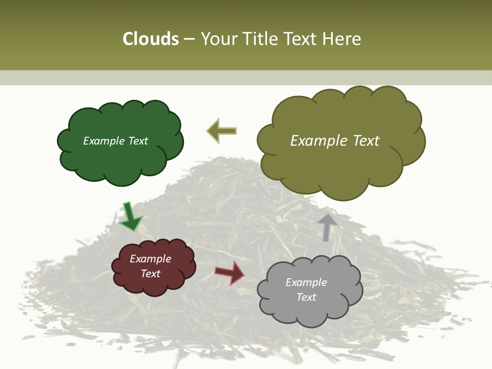 Asian Herbal Medicine Dried Plant PowerPoint Template