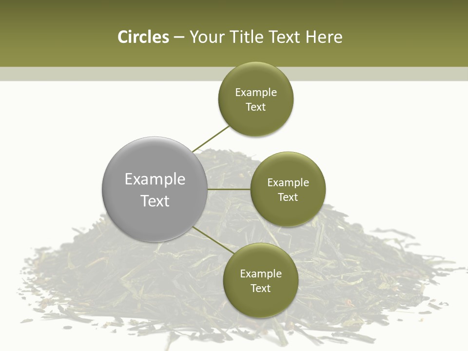 Asian Herbal Medicine Dried Plant PowerPoint Template