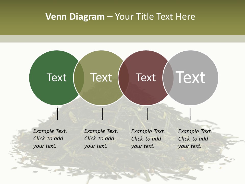 Asian Herbal Medicine Dried Plant PowerPoint Template