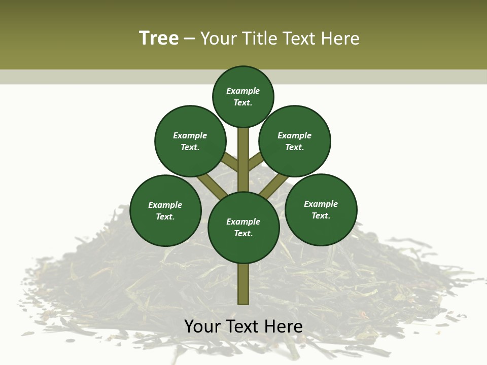 Asian Herbal Medicine Dried Plant PowerPoint Template