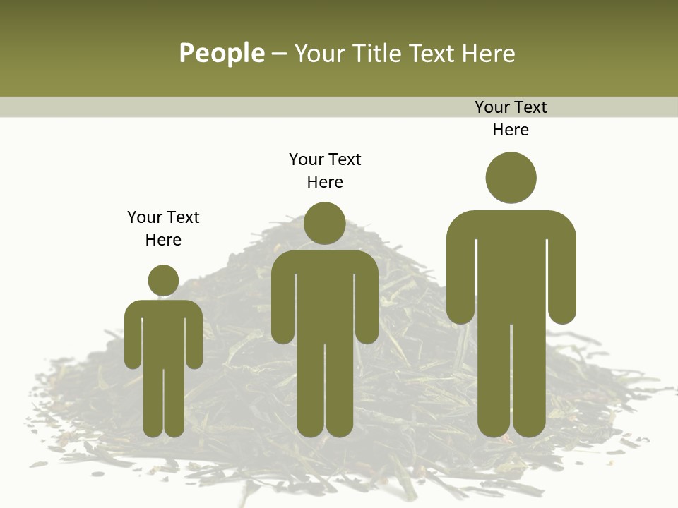 Asian Herbal Medicine Dried Plant PowerPoint Template