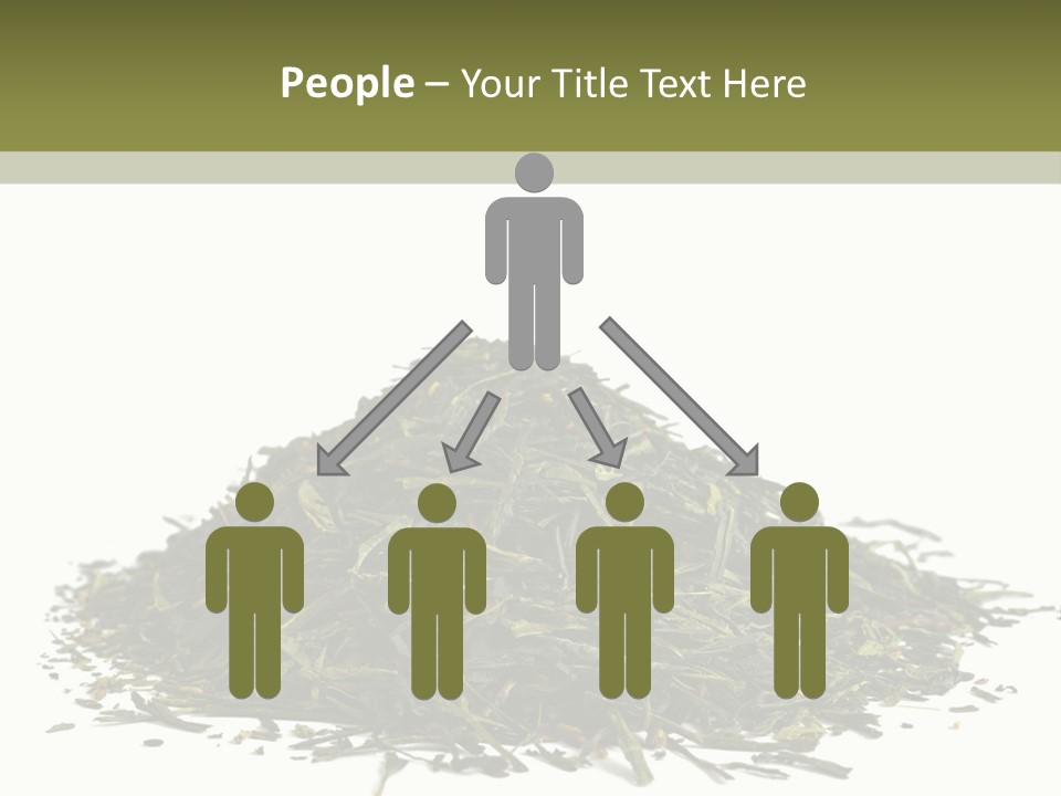 Asian Herbal Medicine Dried Plant PowerPoint Template