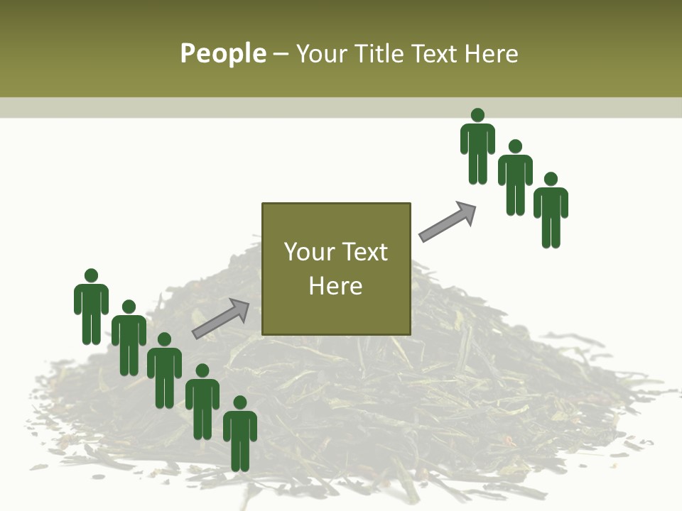 Asian Herbal Medicine Dried Plant PowerPoint Template