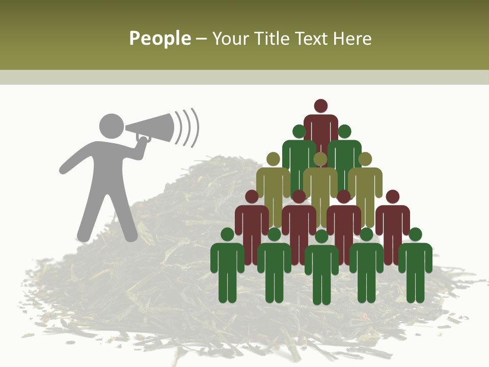 Asian Herbal Medicine Dried Plant PowerPoint Template