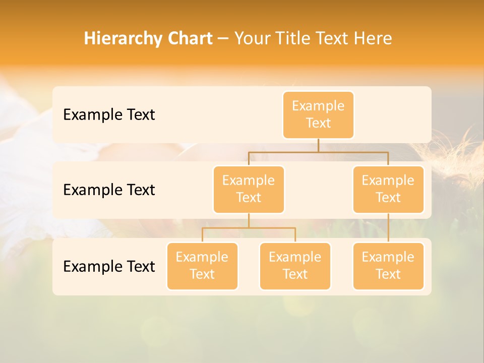 A Beautiful Young Woman Laying In The Grass PowerPoint Template