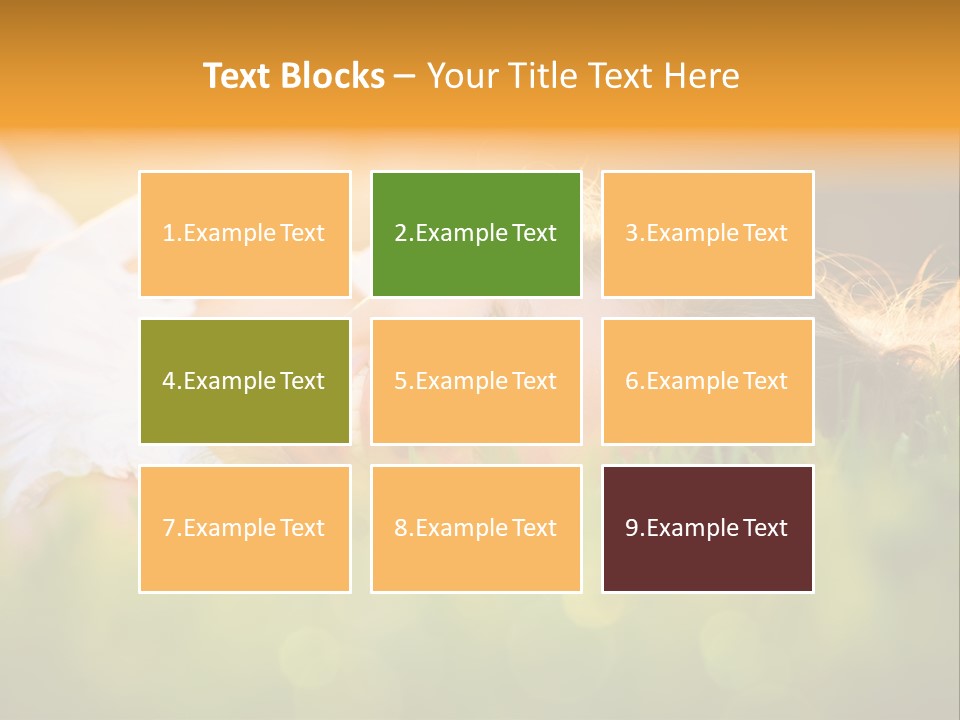 A Beautiful Young Woman Laying In The Grass PowerPoint Template