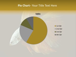 Lifestyle Enjoying Forest PowerPoint Template