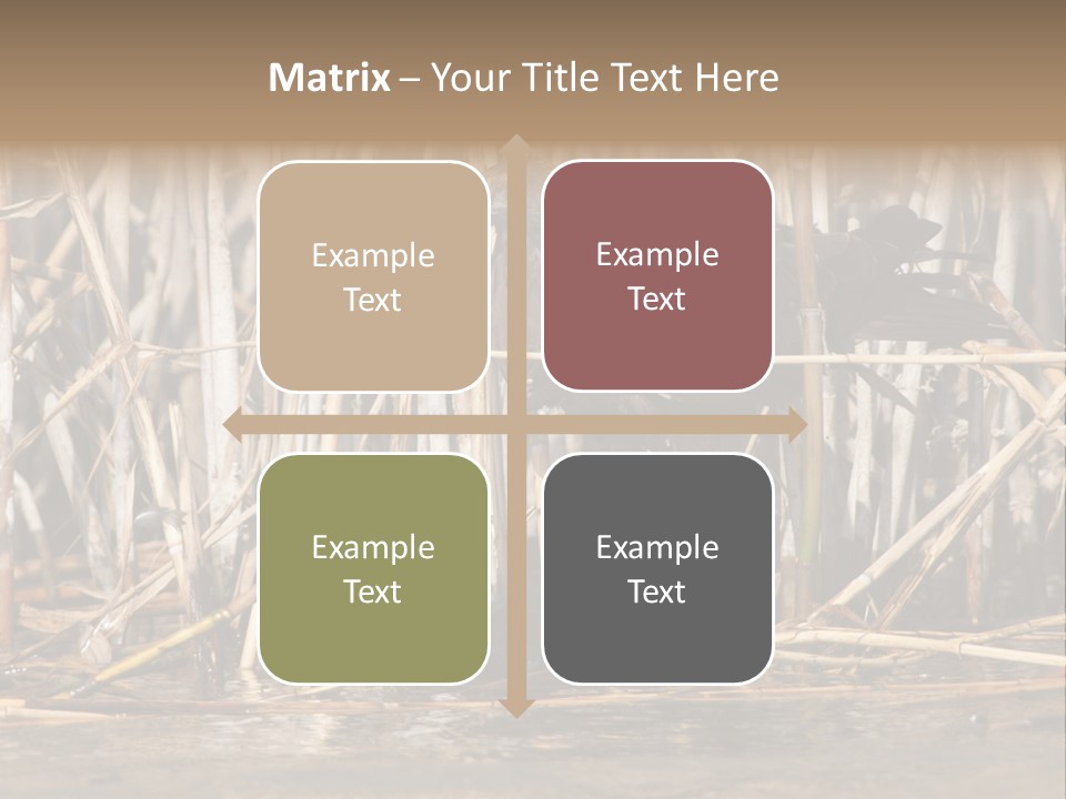 Harrier Brown Predator PowerPoint Template