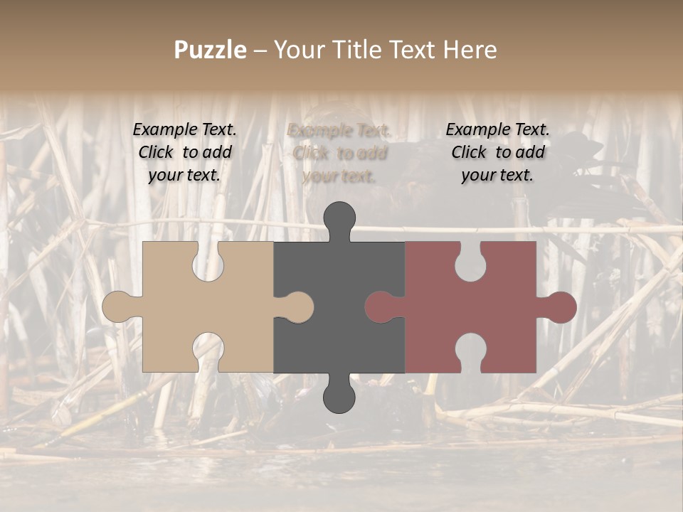 Harrier Brown Predator PowerPoint Template