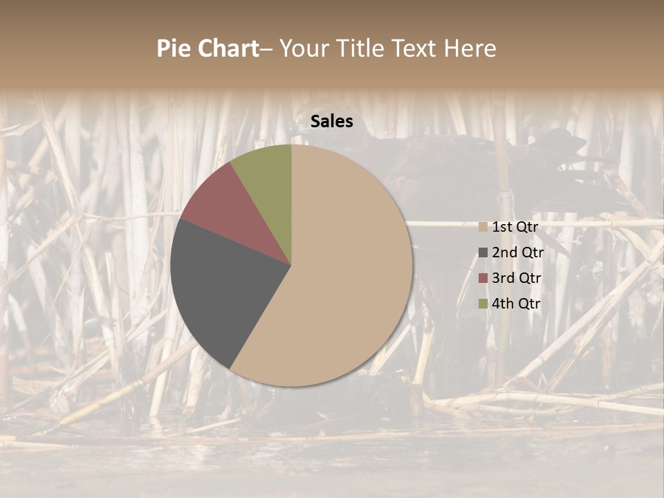 Harrier Brown Predator PowerPoint Template
