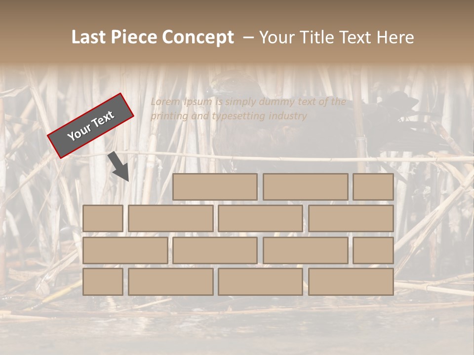 Harrier Brown Predator PowerPoint Template