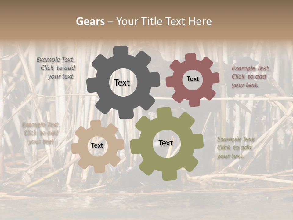 Harrier Brown Predator PowerPoint Template