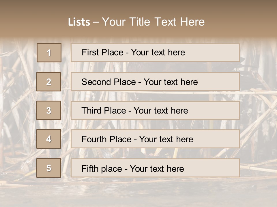 Harrier Brown Predator PowerPoint Template