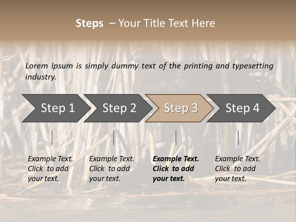 Harrier Brown Predator PowerPoint Template