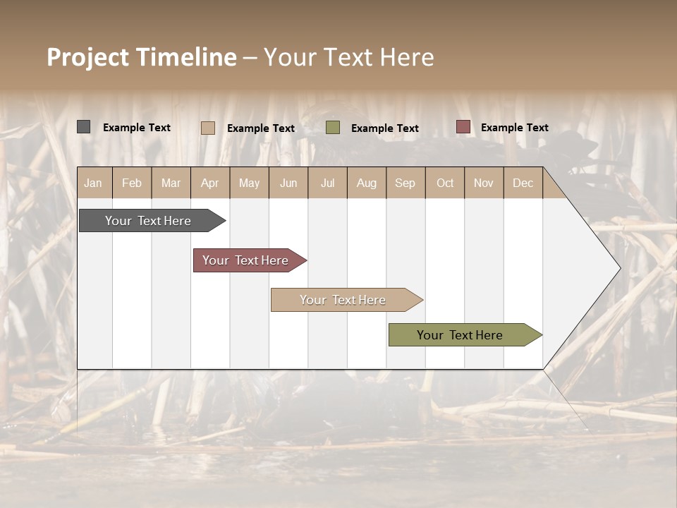 Harrier Brown Predator PowerPoint Template