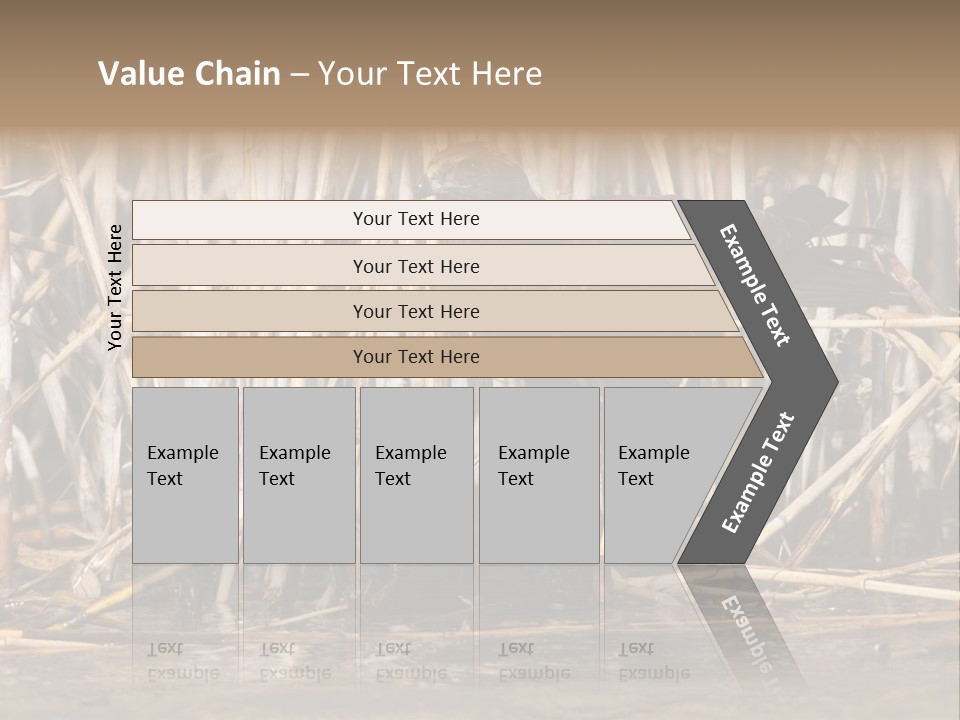 Harrier Brown Predator PowerPoint Template