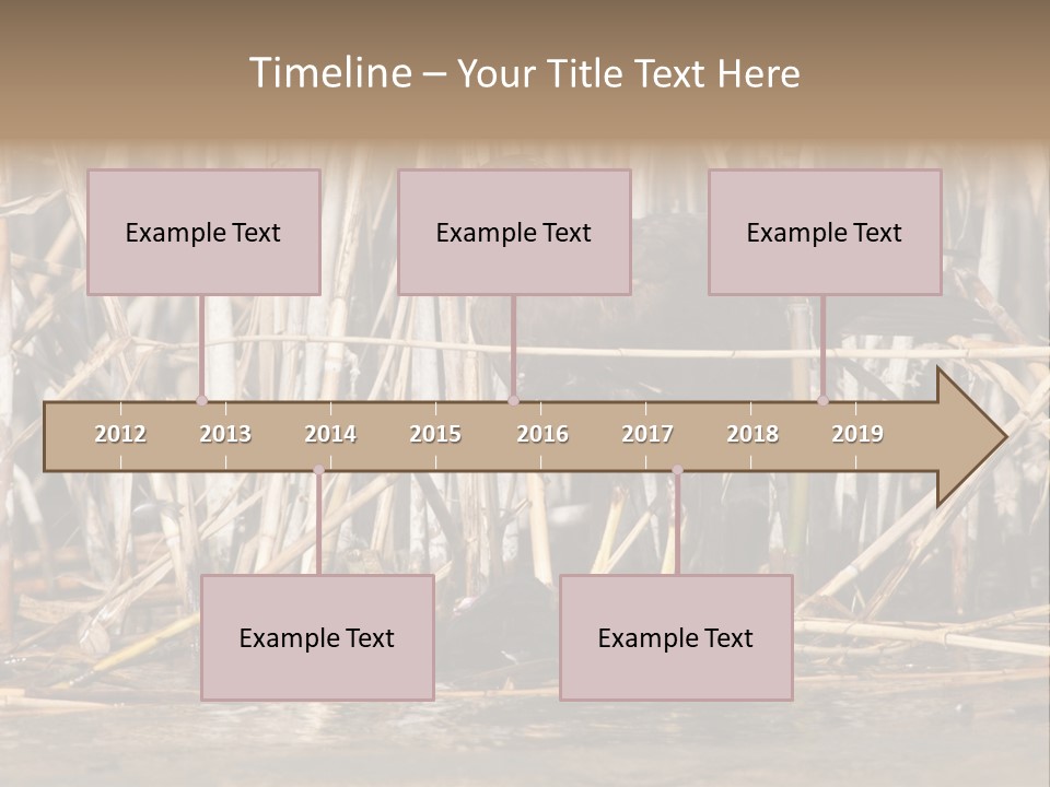 Harrier Brown Predator PowerPoint Template