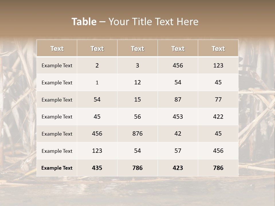 Harrier Brown Predator PowerPoint Template