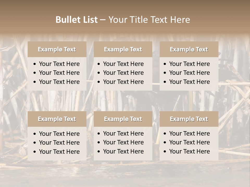 Harrier Brown Predator PowerPoint Template