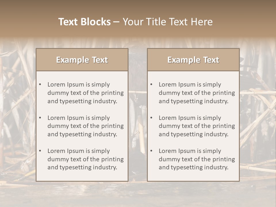 Harrier Brown Predator PowerPoint Template