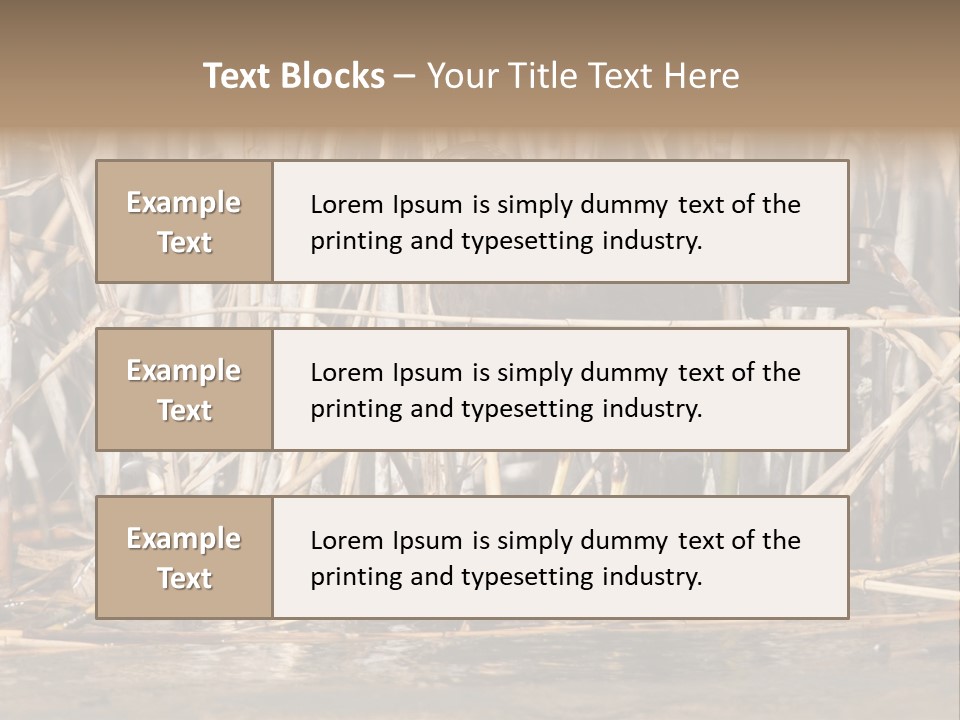 Harrier Brown Predator PowerPoint Template