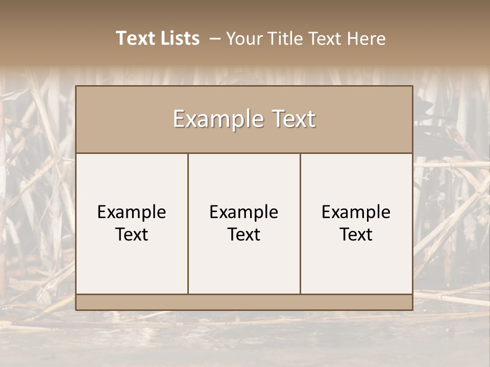 Harrier Brown Predator PowerPoint Template