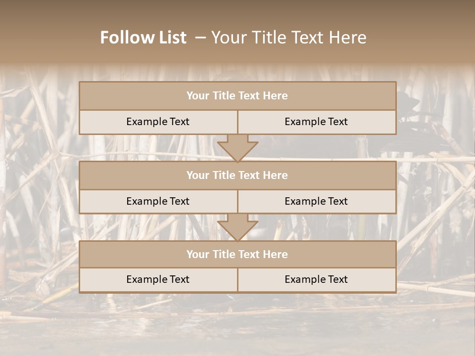 Harrier Brown Predator PowerPoint Template