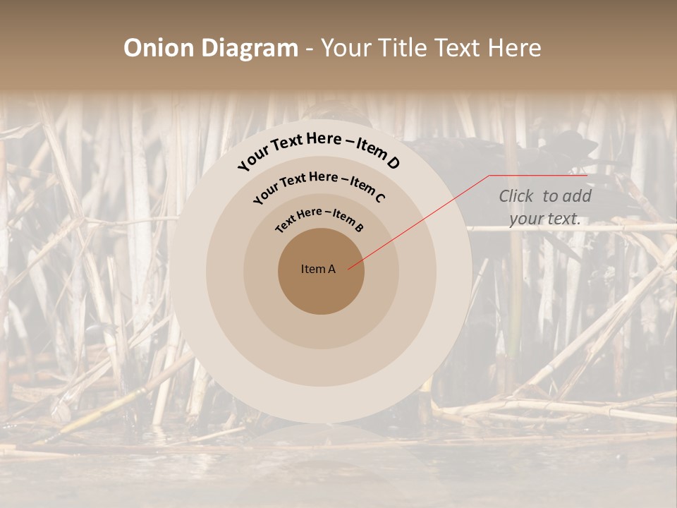 Harrier Brown Predator PowerPoint Template