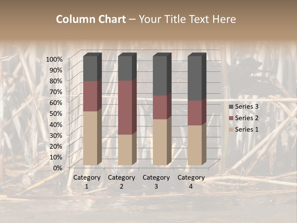 Harrier Brown Predator PowerPoint Template