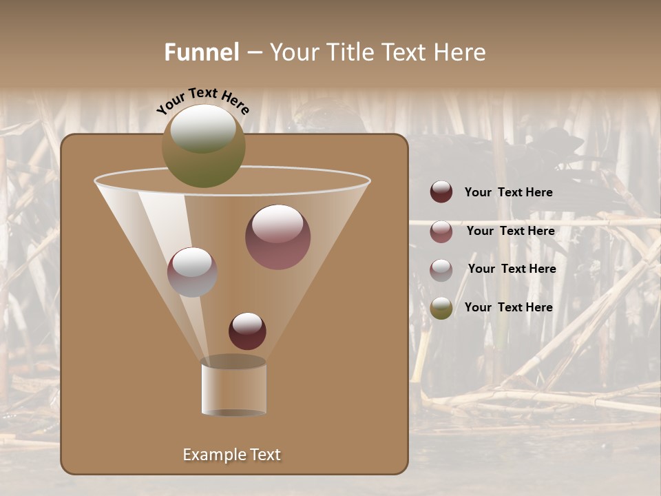 Harrier Brown Predator PowerPoint Template