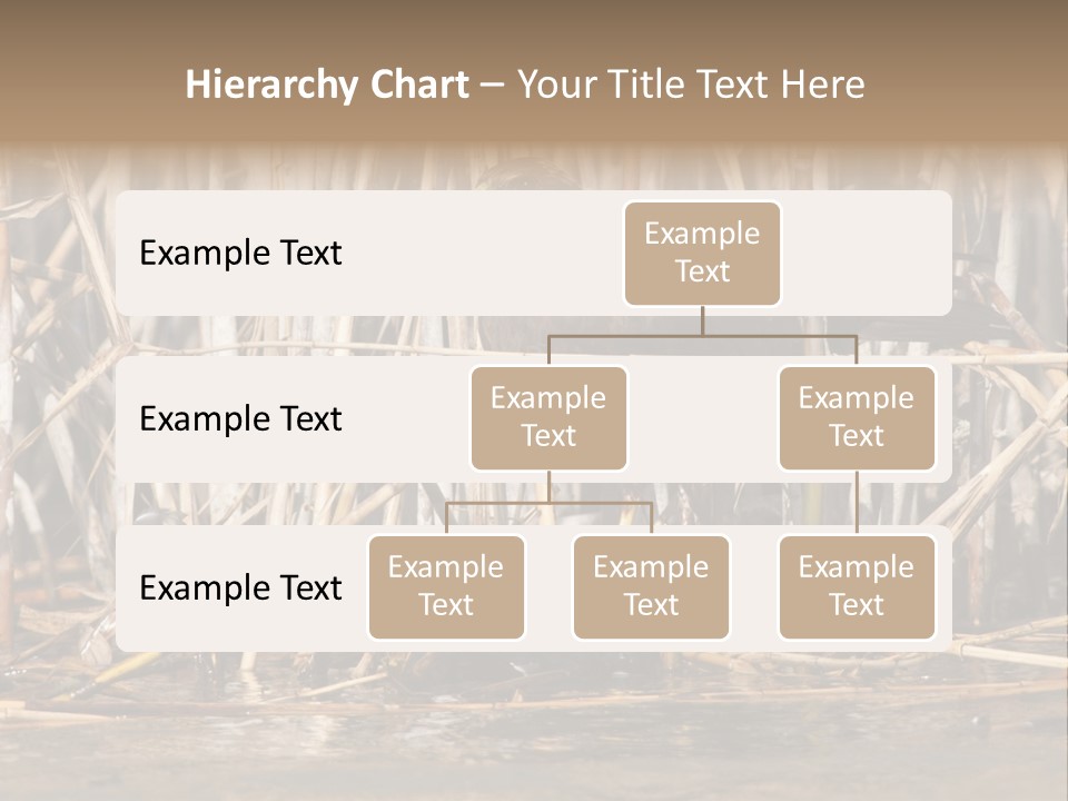 Harrier Brown Predator PowerPoint Template